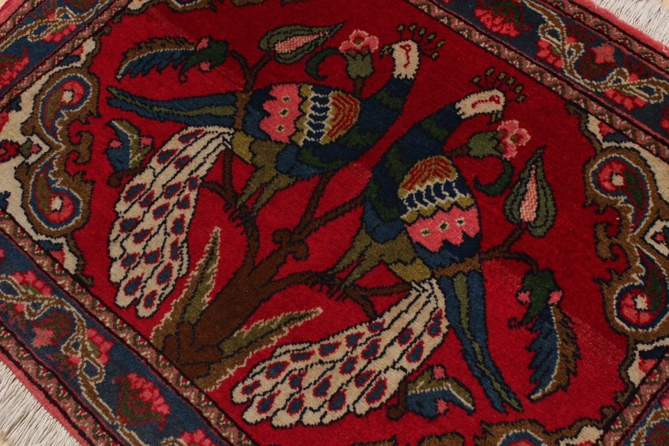 Винтажный восточный ковер-павлин ручной вязки Darjazin Hamadan 36 дюймов x 26 дюймов - Изображение 4 из 4