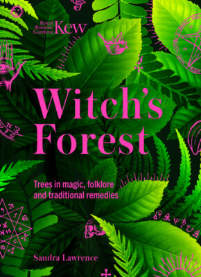 Kew: The Witch's Forest: Trees In Folklore, Magic And Traditional Medicine