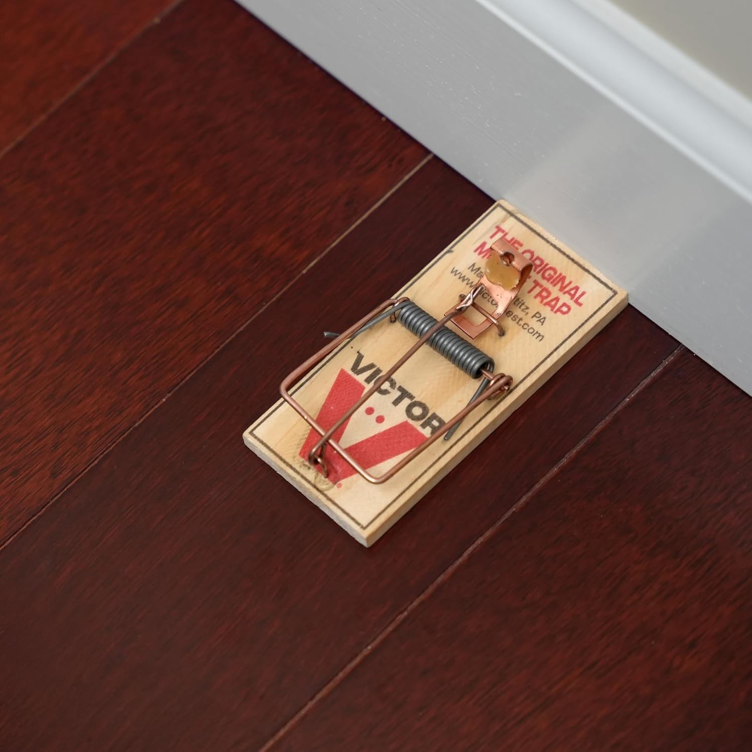 Victor M150-12 Metal Pedal Sustainably Sourced FSC Wood Snap Mouse Trap-12 Traps