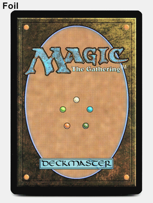 Swamp (FOIL) - Full Art - [Lorwyn Eclipsed] Magic - MTG ECL 0281