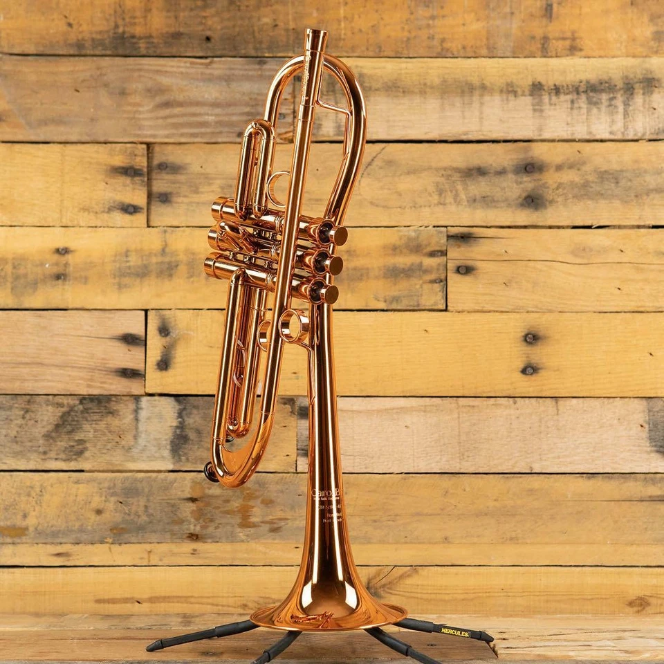 CarolBrass Baro modelo II post pandemia RR CTR-5280L-GLT Foto 3 de 3