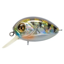 Pontoon21 Red Rag 36F-SR 107 Crash HG Perch, Lenght mm 36, Floating Fishing W...