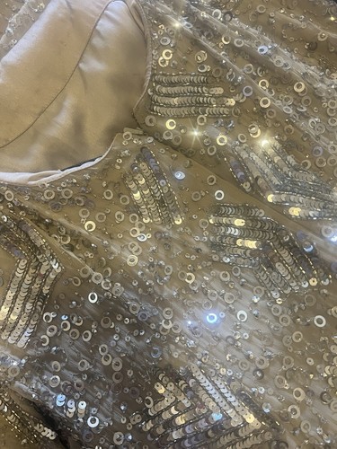 Rachel Gilbert Size 4 Sequin & Embellished Gown— Stunning & Flattering - Picture 9 of 22
