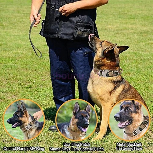 AUS Tactical Dog Collar Heavy Duty Military Metal Buckle Nylon Adjustable Handle - Picture 3 of 27
