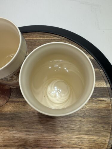 Thermo Serv Plastic Cups Tumblers Rose Floral Tan Vintage Set Of 3 - Picture 3 of 7