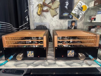 AUDIO NOTE FINAL CLONE KIT MONO 6V6 AUDIOPHILE