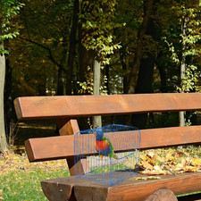 3 Pack Bird Perch Stand 12.4 5.3 Inch- Rectangular Wood Platform Wood Perch S...