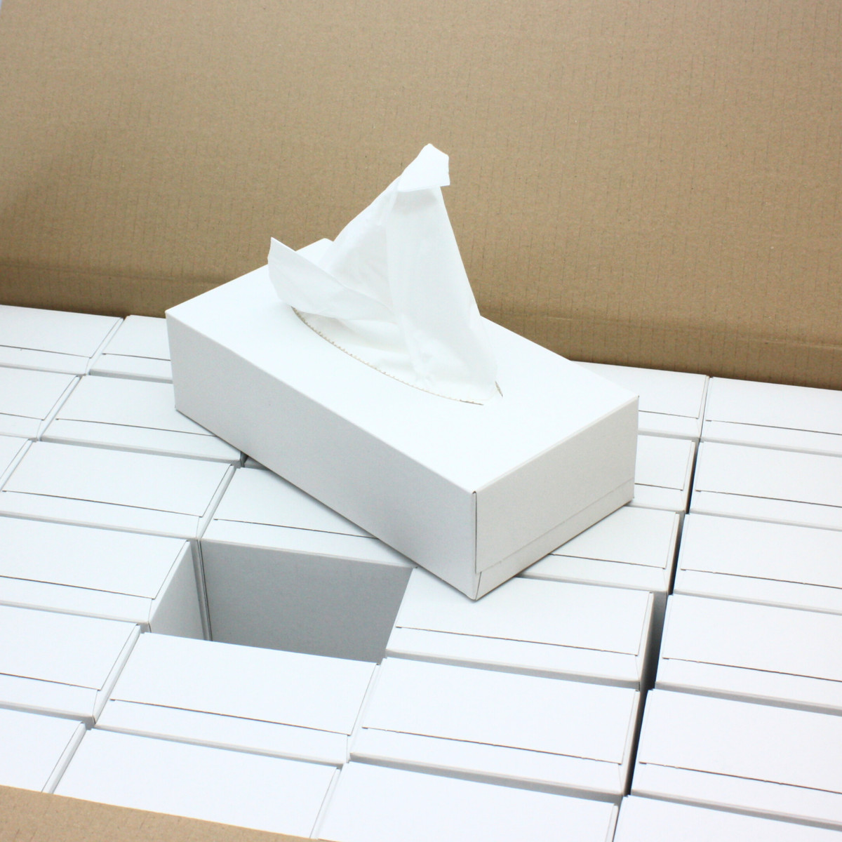 Kosmetiktücher Box Taschentuchbox Taschentücher box 100% Zellstoff, 2-lagig
