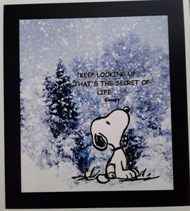Peanuts Charlie Brown Snoopy Keep Looking Up Magnet Ebay