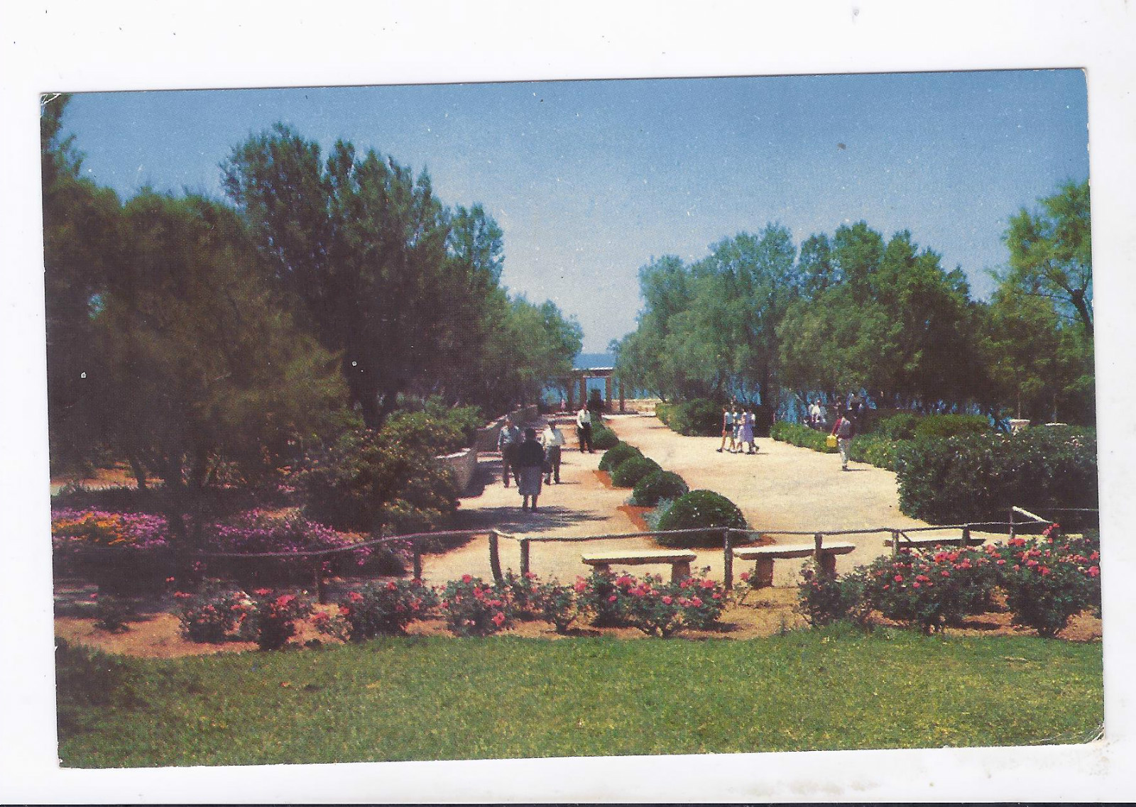 Picture 1 of 2