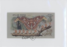 2020 Topps Allen & Ginter Chrome Mini Buggin' Out! Atlas Moth #MBOC-7 5m1