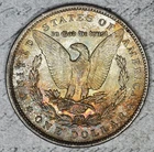 1891-P Morgan Dollar Toned   #5ZZV