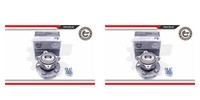 Esen SKV 2X Radnabe Radlagersatz Hinten FüR Opel Astra J Chevrolet Cruze P10