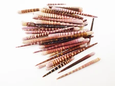 Set of 50 Tiger Sea Urchin Spines  All natural Top Quality Wind Chime Coastal