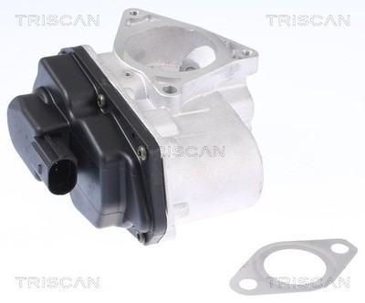 AGR-VENTIL  FÜR A3 (8P1), A3 SPORTBACK (8PA), TIGUAN (5N ) - TRISCAN 8813 29003