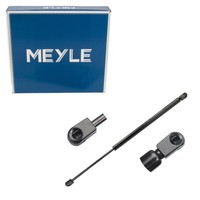 Meyle HeckklappendäMpfer FüR Renault Scenic II Grand Scenic II 8200119500