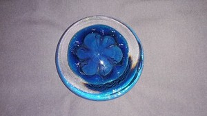 1996 EICKHOLT Signed Art Glass Sand Dollar Star Fish Dichroic Paperweight Blue