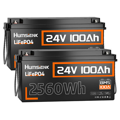 2PACK 24V 100Ah LiFePO4 Lithium Batterie BMS 100A für Boot Golfwagen Wohnmobil