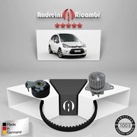 Set Vertrieb + Wasserpumpe Citroen C3 II 1.4 54KW 73CV 2015->
