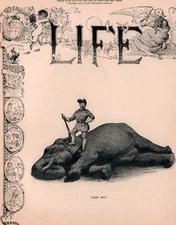 1904 CARTOON ILLUSTRATION  ROOSEVELT SATIRE  BALFOUR ART POLITICAL HUNTING