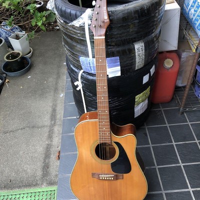 Acoustic Guitar Morris PA50 NAT Natural | eBay