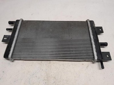 Dacia Spring Kühler 2022 404518 214109411R 20211204063