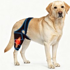 Dog Knee Brace for Torn ACL/CCL Hind Leg Reflective Front Back Leg Extra Support