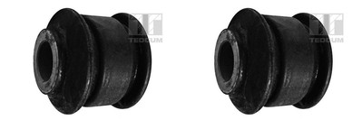 2X TEDGUM QUERLENKERLAGER BUCHSE HINTEN passend für NISSAN 100NX BLUEBIRD MAXIMA