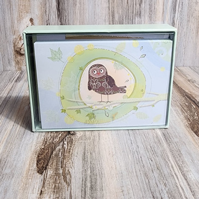 NEW Papyrus Glittery Owl Artist Designed Note Card With Envelopes Box Set of 14