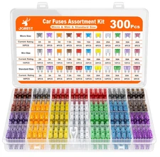 300Pcs Car Auto Fuses Assortment Kit Mini Standard Micro with Puller 2A–40A