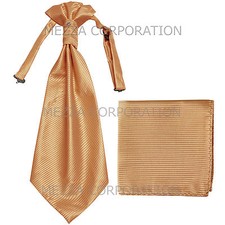 New 100 Polyester Men's Horizontal Stripes Ascot Cravat Hankie Party Beige