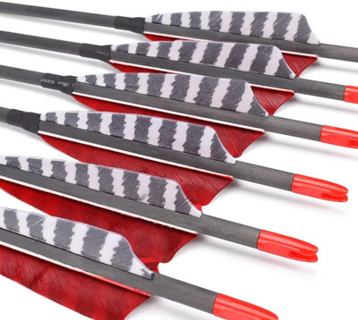 Pure Carbon Arrows 600 700 Spine 30 Inch Turkey Feather Fletching Screw in Field