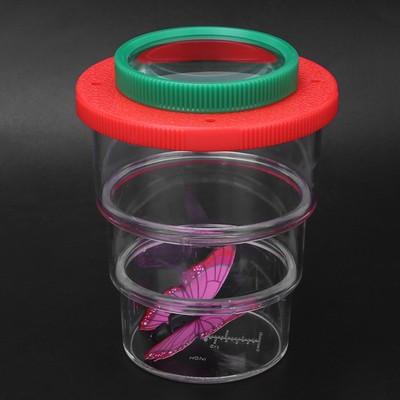 10 Stücke Insekten Viewer Beobachtung Vergrößerungs Bug Box Wissenschaft Sch NTS