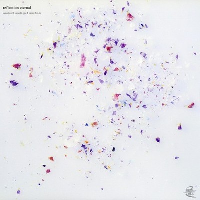 【500枚限定盤】Nujabes Reflection Eternal 12\