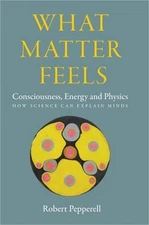 What Matter Feels: Consciousness, Energy and Physics (How Science can Explain Mi