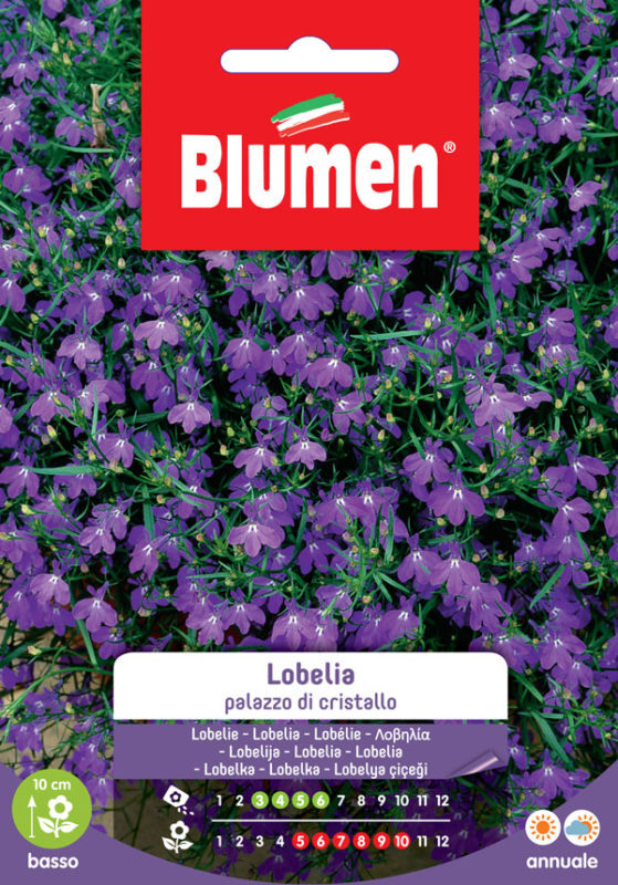 Blumen. Semi di Lobelia Palazzo di cristallo