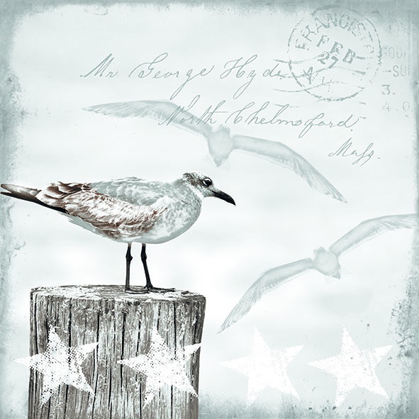 "20 Servietten \"Seagulls\" Maritim MöWe Stamp*SchriftzüGe*33X33*Sterne*Nostalgie"-image