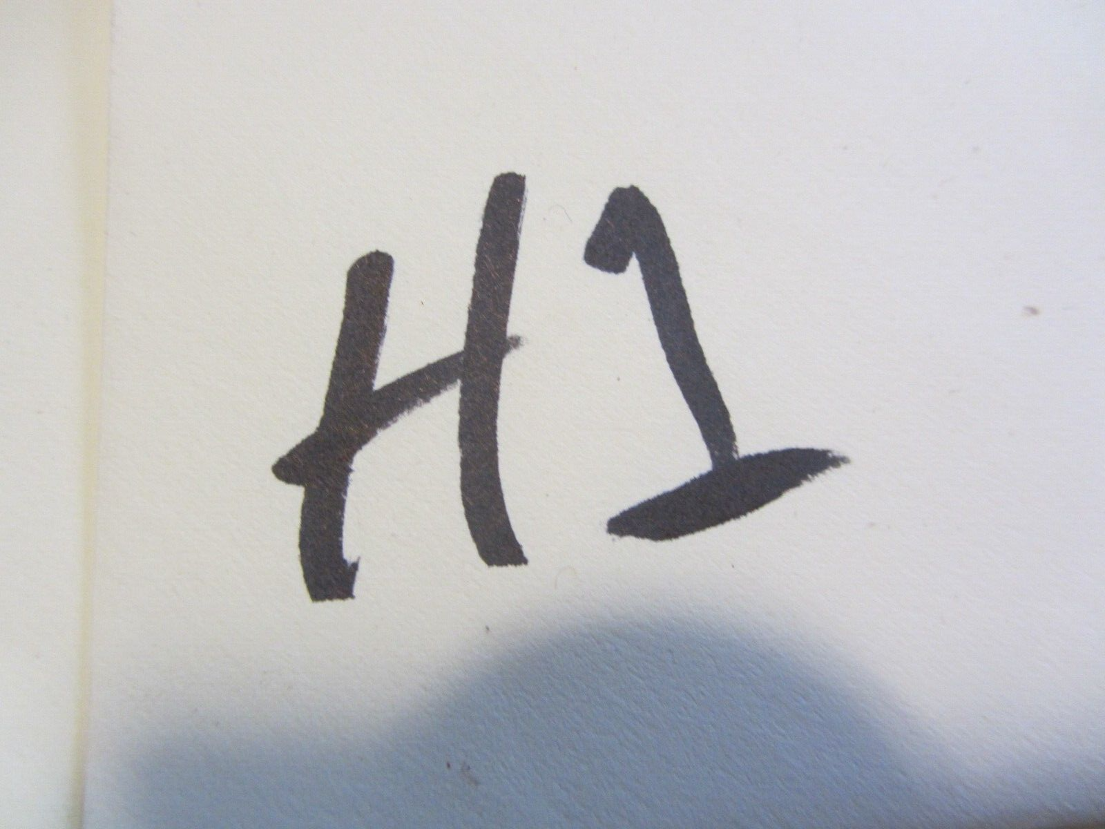 Picture 15 of 15