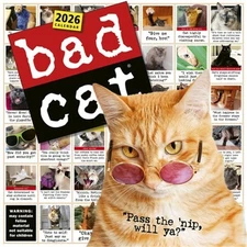 Bad Cat Wall Calendar 2026: Celebrating the Misfits of the Feline World (Calenda