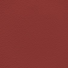 Porsche Carrera Red Leather Dye