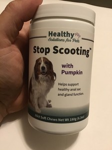healthy solutions for pets