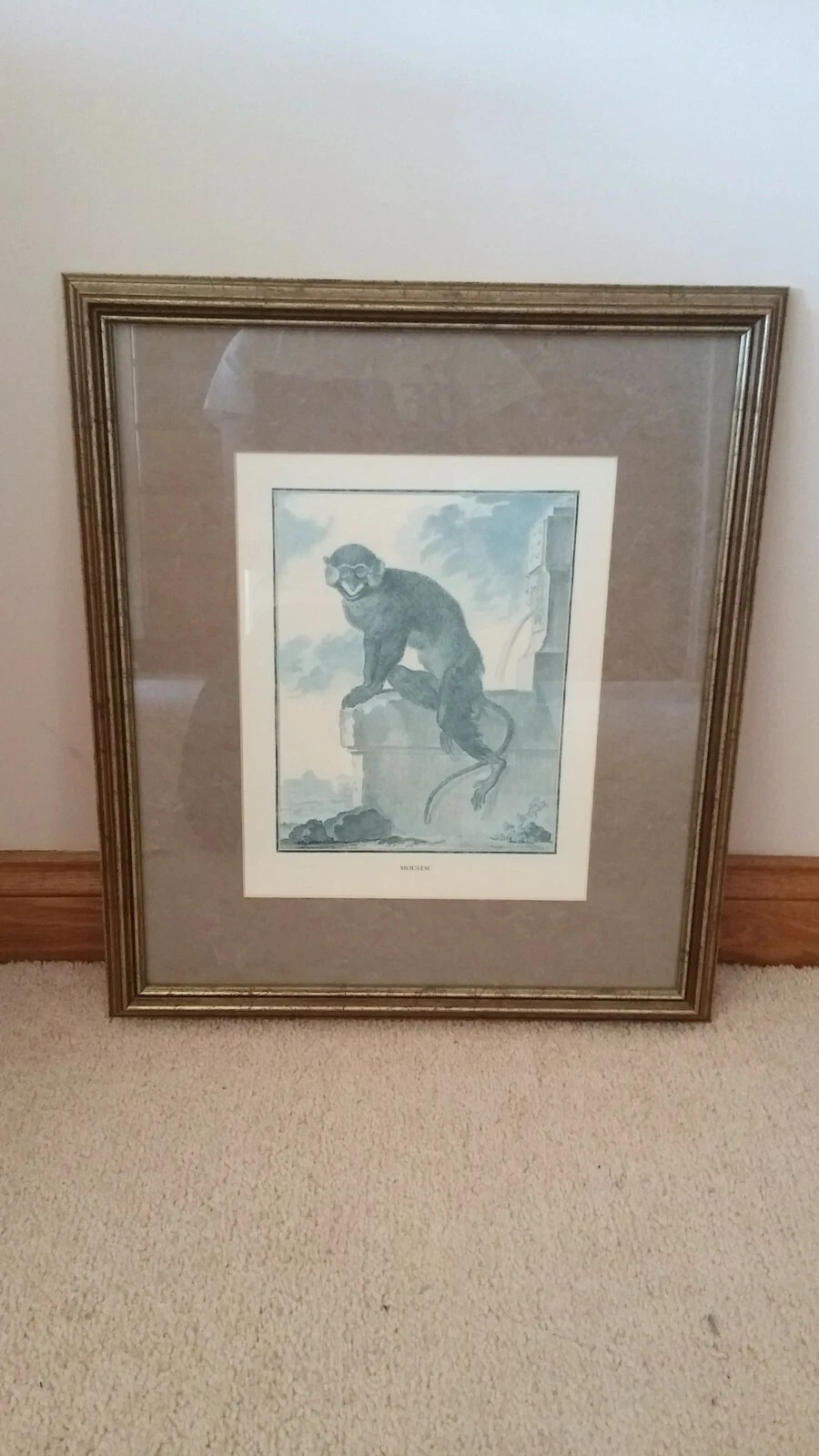 Picture 9 of 9
