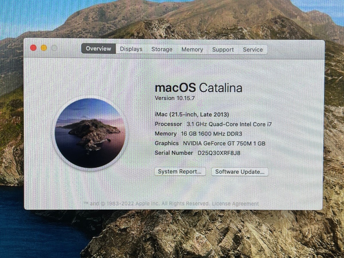 Macデスクトップ Apple iMac 21.5 macOS Catalina Late 2013 iMac (21.5-inch, Late 2013) - Technical Specifications