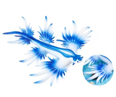 Sea Slug Toy Action Figure Small Animal Figurine Doll Gift for Kids