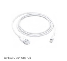 Image of Original Apple Lightning to USB Cable (1m) And iPhone Plug