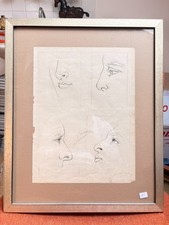 Ancien Dessin XIXème Encadrée Anatomie Nez Bouche Planche Tête Morphologie