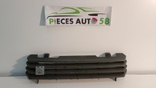 Calandre Citroen C15