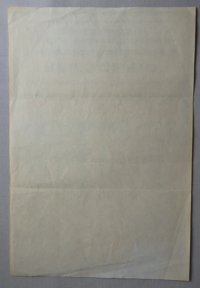 Tournee Plakat Schweizer Circus Fliegenpilz um 1985 (89795) - Bild 2 von 2