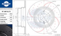 Rotinger 2X Bremsscheibe Hinten Ø324 Mm Galvanisch Beschichtet FüR BMW X5 E53