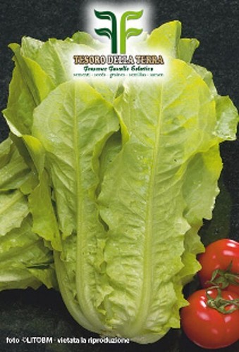 Buste di semi di ortaggi verdure e legumi vari (Vasta Scelta) - Foto 90 di 90